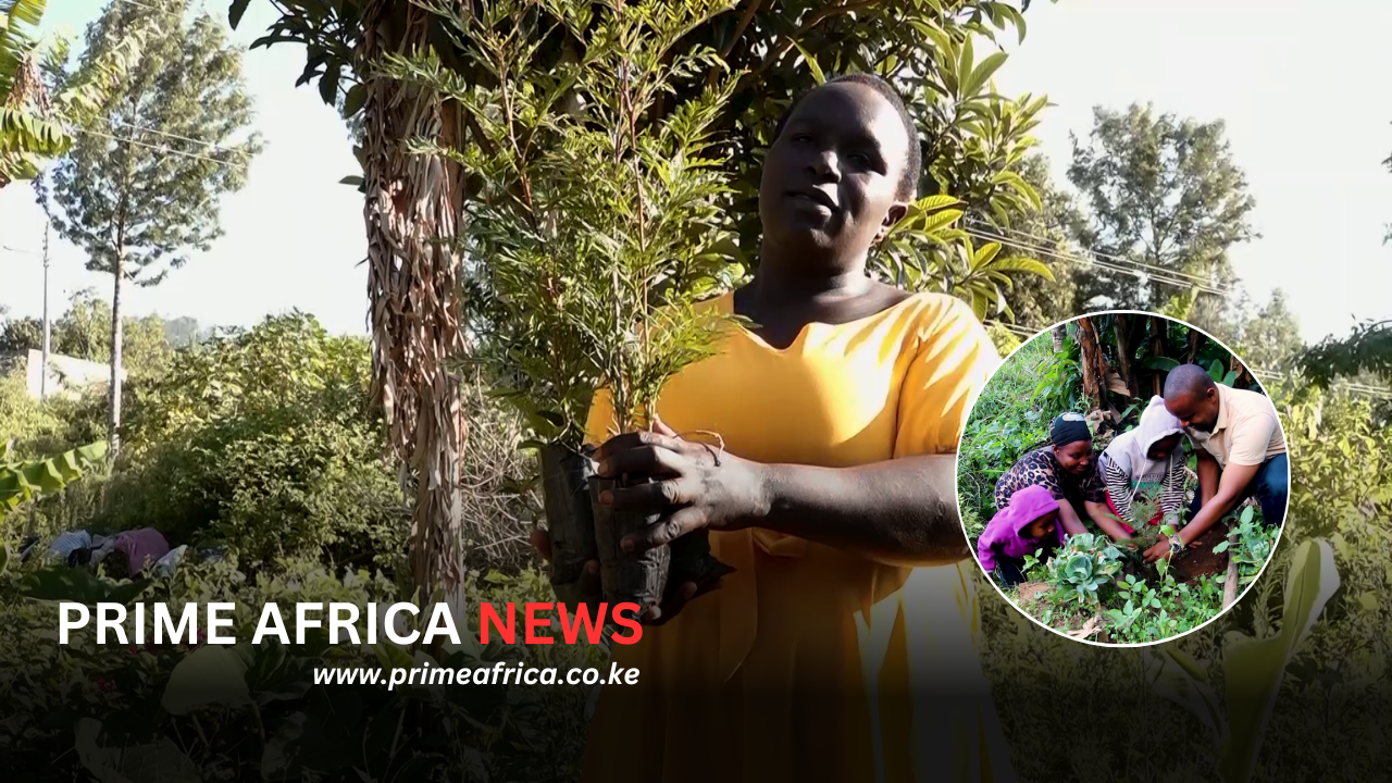 Mti-Mtoto-Prime-Africa-News